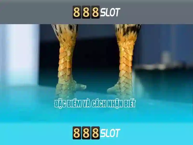 💎seneca buffalo creek casino slots💎