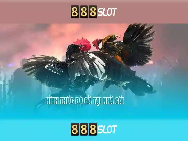 💎rolling slots no deposit bonus codes💎