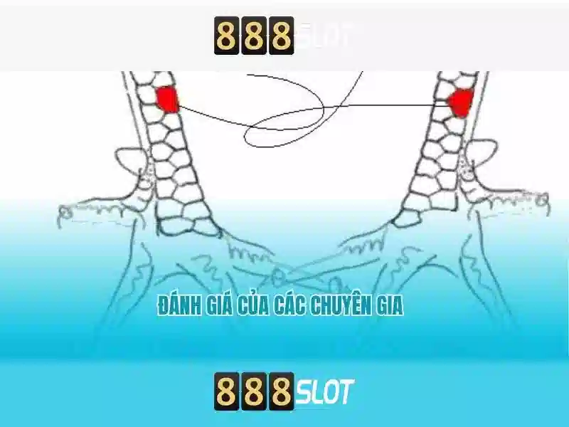 💎nhà cái stone27💎