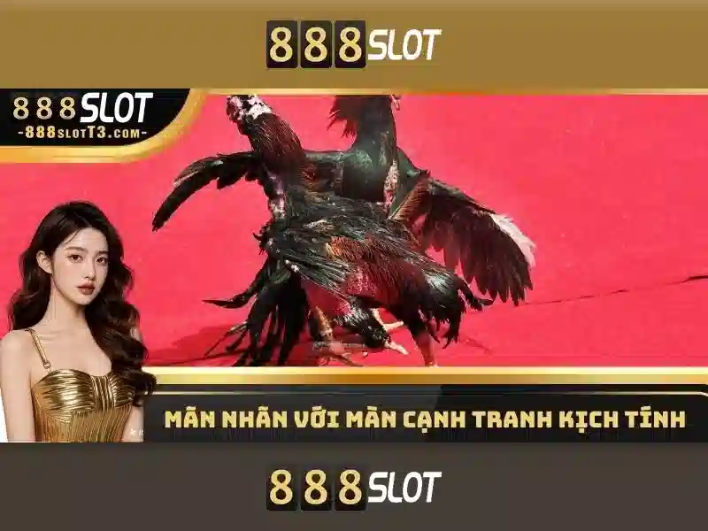  888slot bet - 888slot
