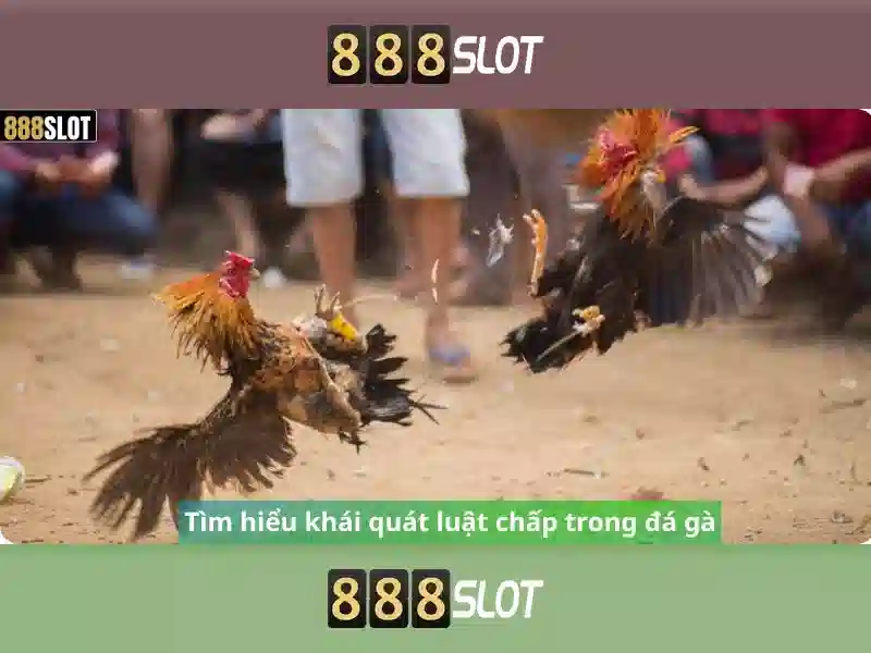 💎cán bộ sở văn hoá thái bình đánh bạc💎