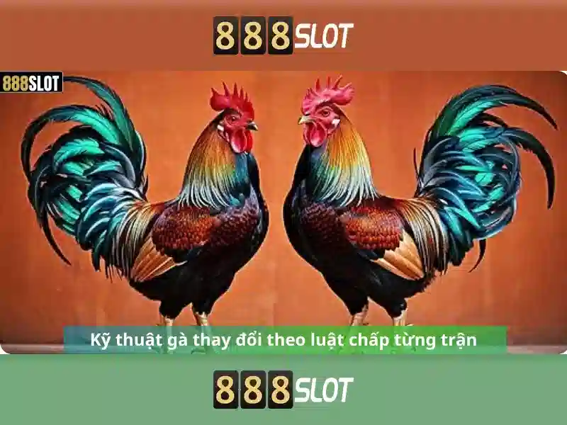 💎keo nhà cai 2.com💎