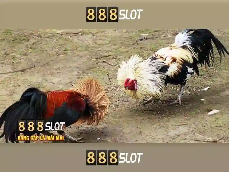 💎95 888 slot casino💎