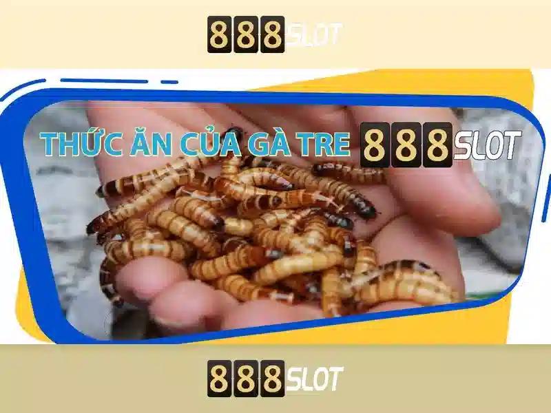 💎sv88 gà đòn💎 - tổng đài sv88 - link sv88