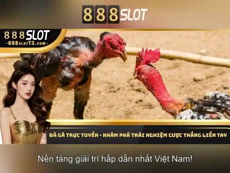 💎đăng nhập sin88💎 - sin88 bet vip - tại sin88 mx