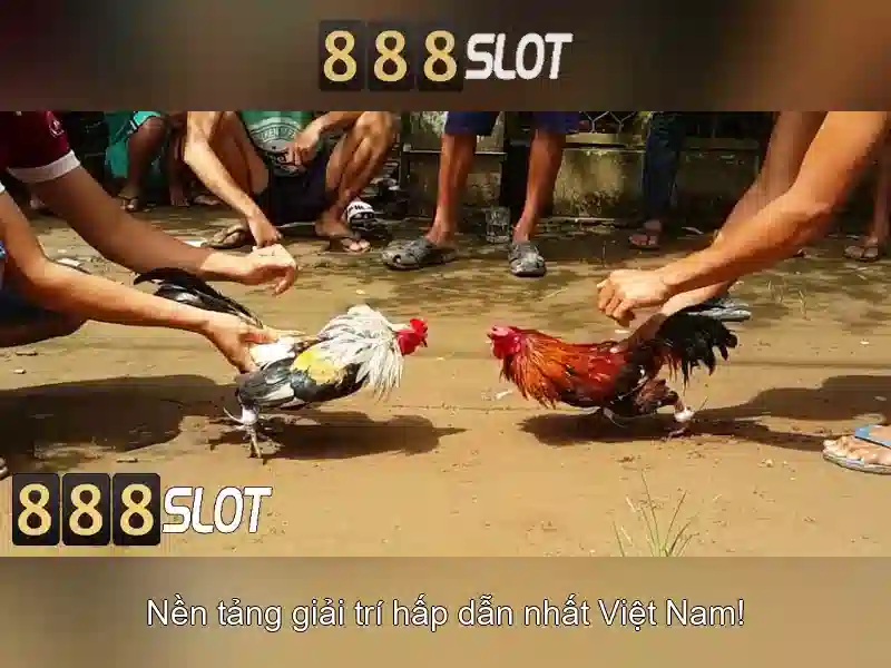 💎casino slots online canada💎