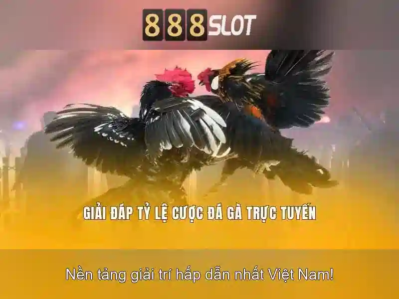 💎sv88 link đá gà💎 - sv88 đá gà trực tiếp - tải app sv88