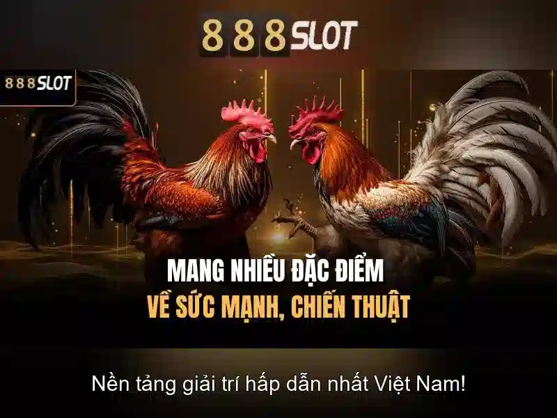 💎st 777 slot apk💎